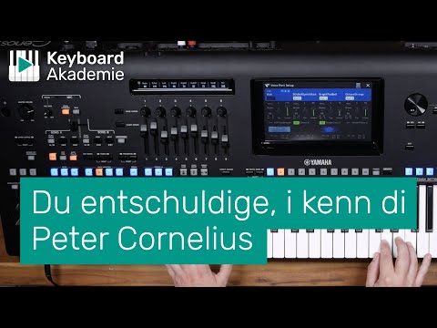 Du entschuldige, i kenn di // Peter Cornelius // KA live